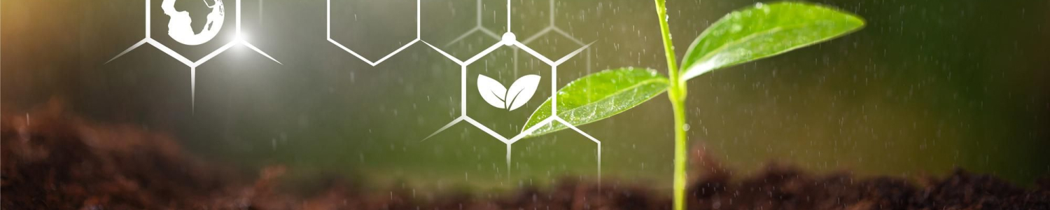 Biosolídy