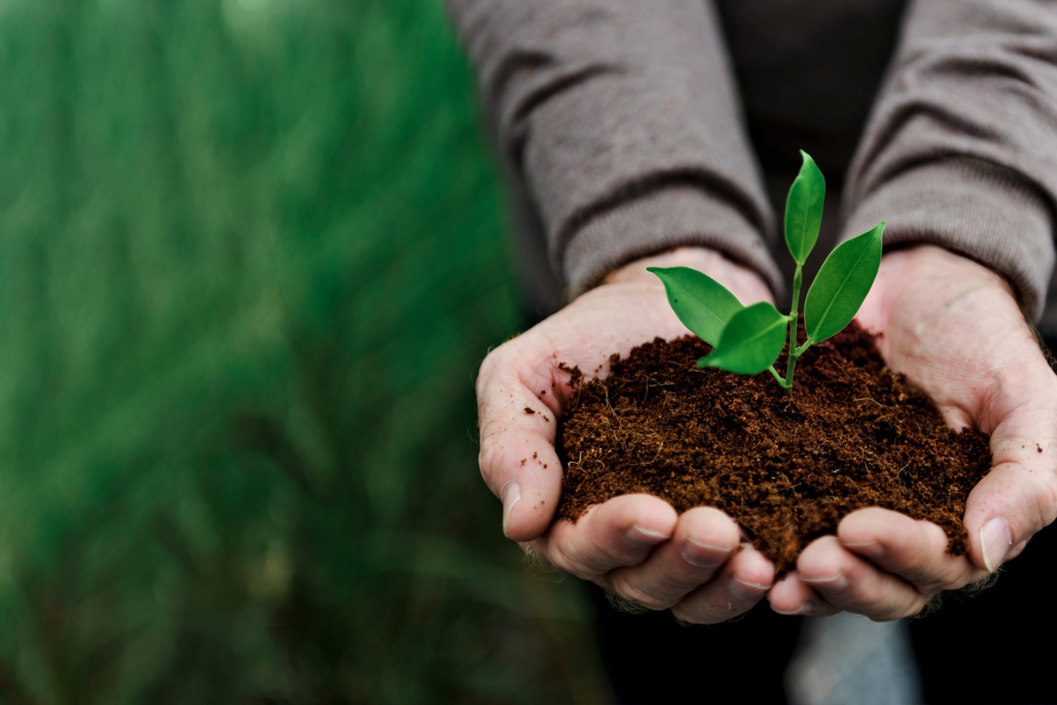 Environmental Conservation